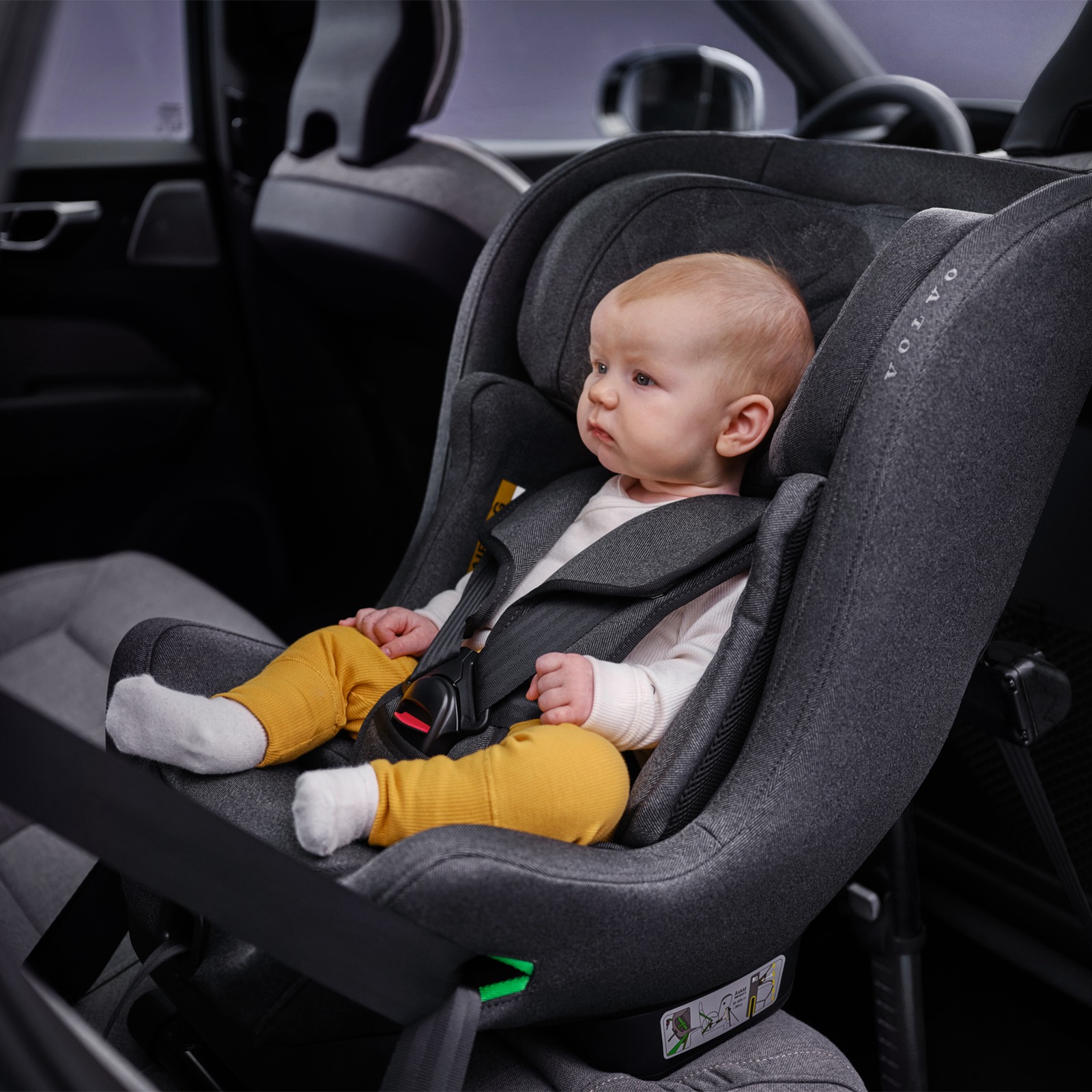 448274012_856538806507145_71488576899045684_n