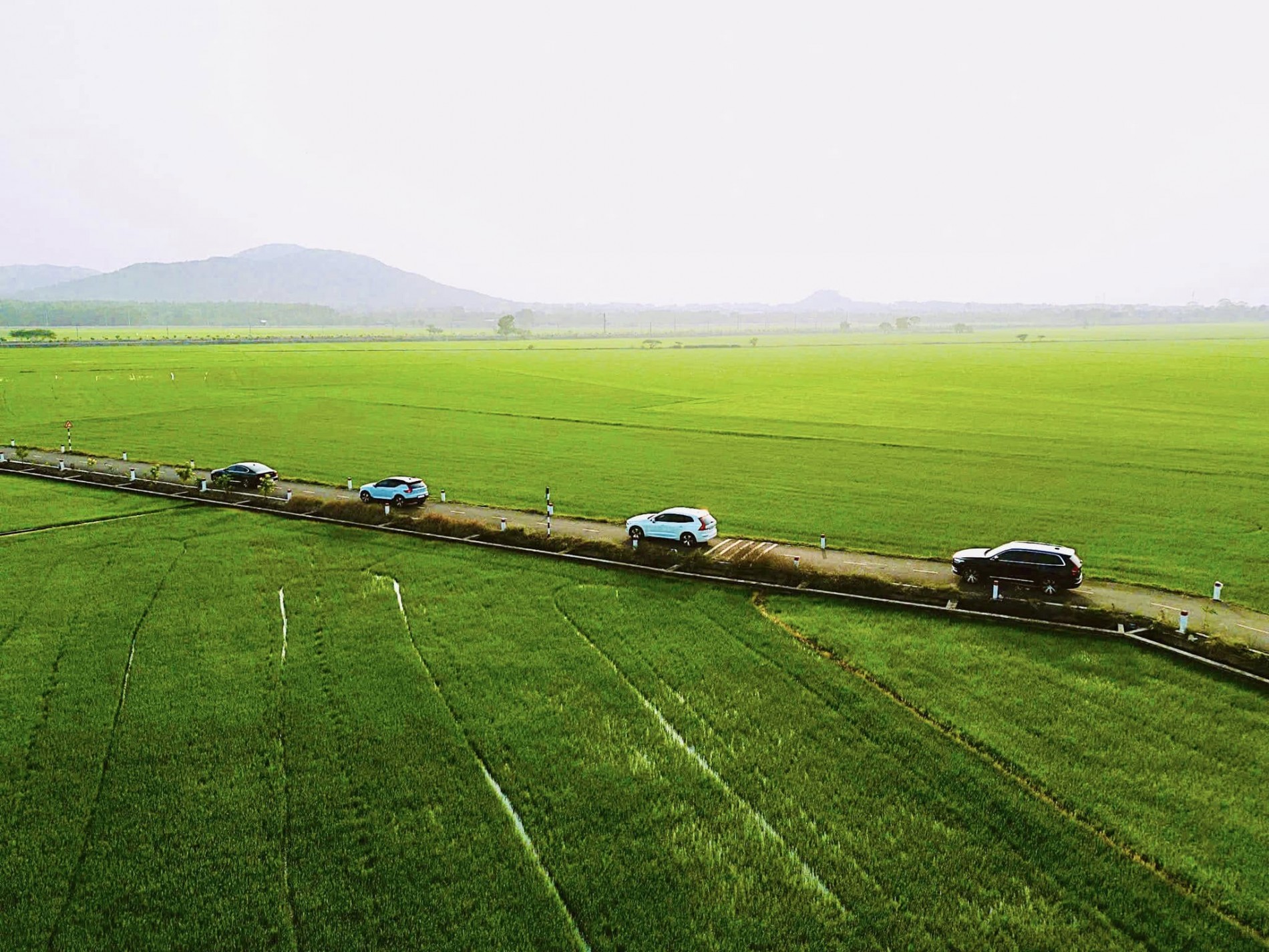 480787356_122162011226327729_3336999989841393455_n